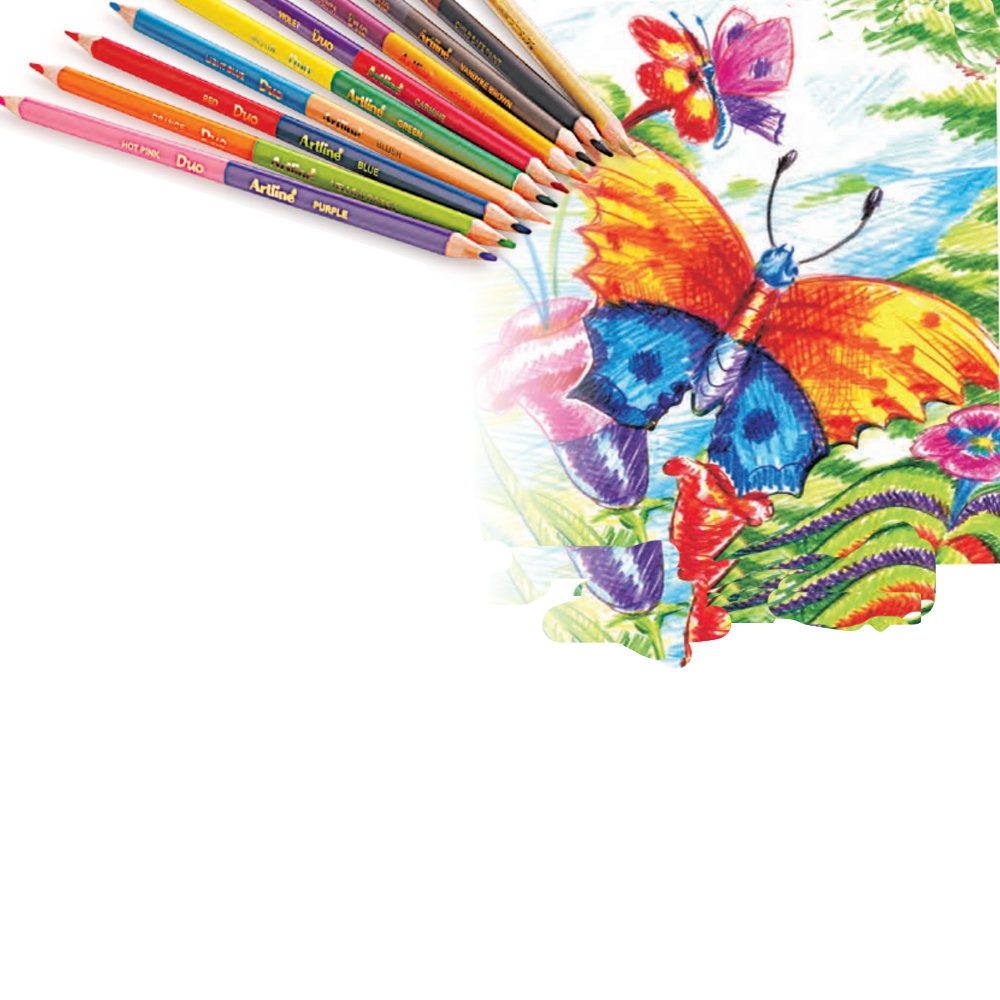 Triart Duo Colour Pencils Buy Artline Products on Best Price