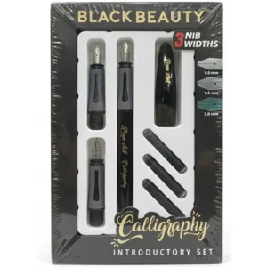 Black Beauty calligraphy fountain pen with interchangeable nibs