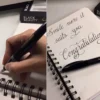 Black Beauty pen ink cartridge close up
