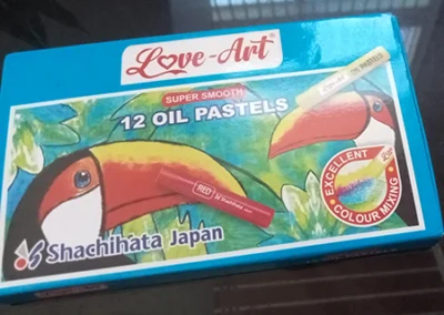 12 oil pastel